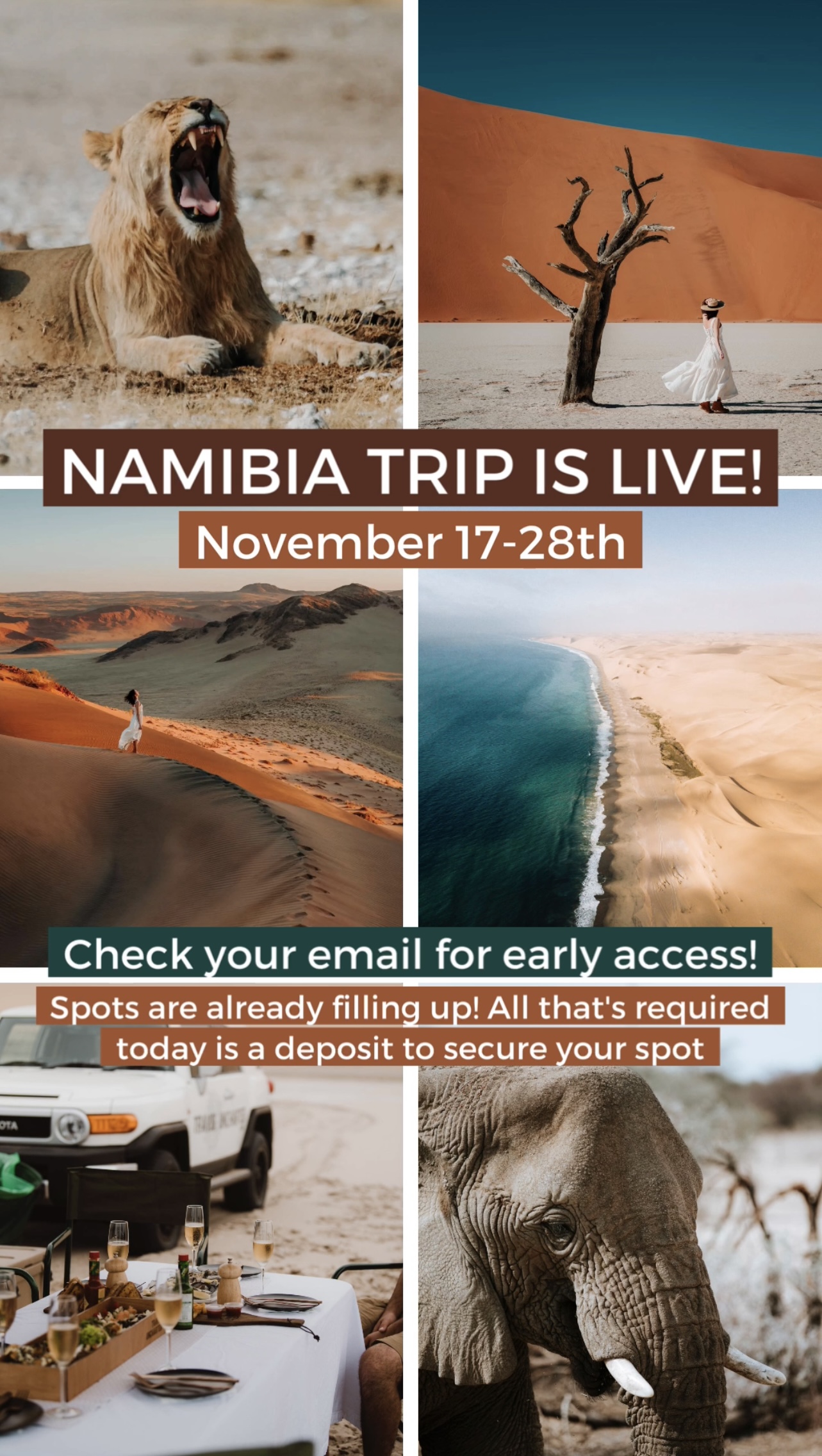 Lisa Homsy launches a trip to Namibia November 2023 