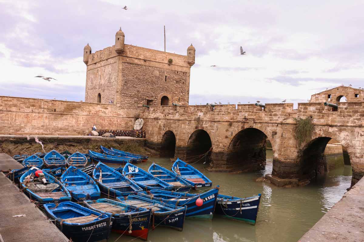 Blue fishing boats tied up at the old port with seagulls flying around